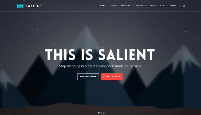 Salient: Bold and Beautiful Design with SEO Focus