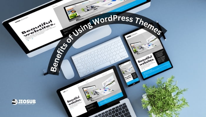 Benefits of Using WordPress Themes