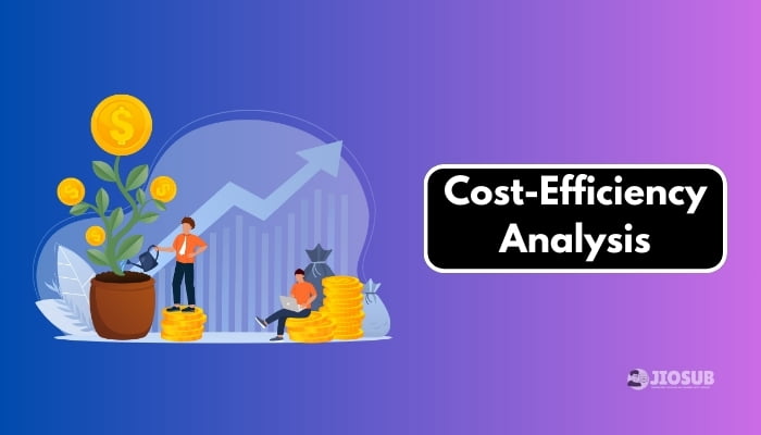 Cost-Efficiency Analysis