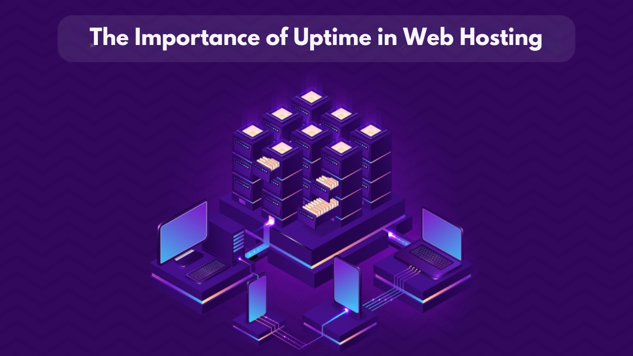 The Importance of Uptime in Web Hosting: How Reliable Is Your Provider?