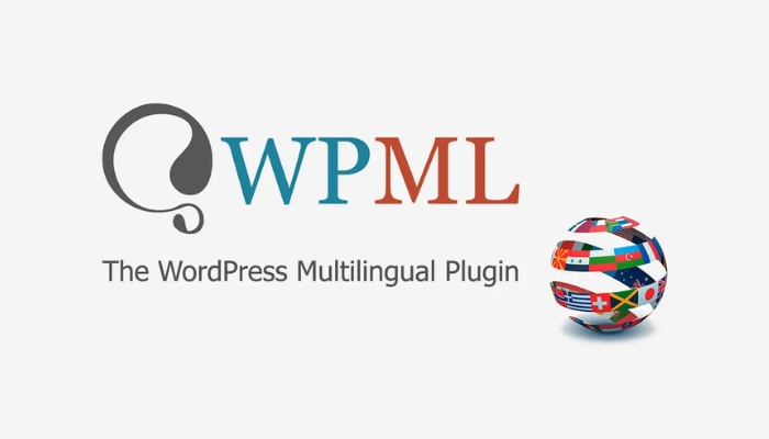 WPML (WordPress Multilingual Plugin)