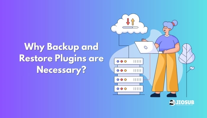 Why Backup and Restore Plugins are Necessary?