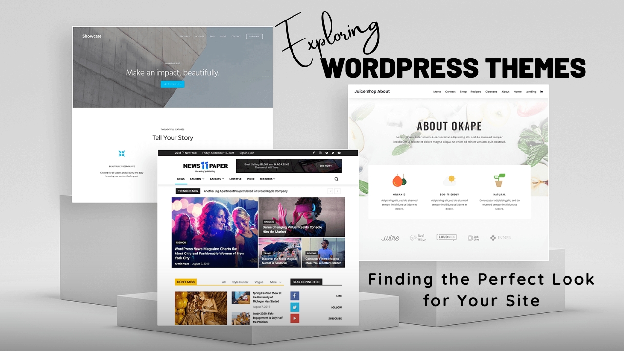 Exploring WordPress Themes: Finding the Perfect Look for Your Site