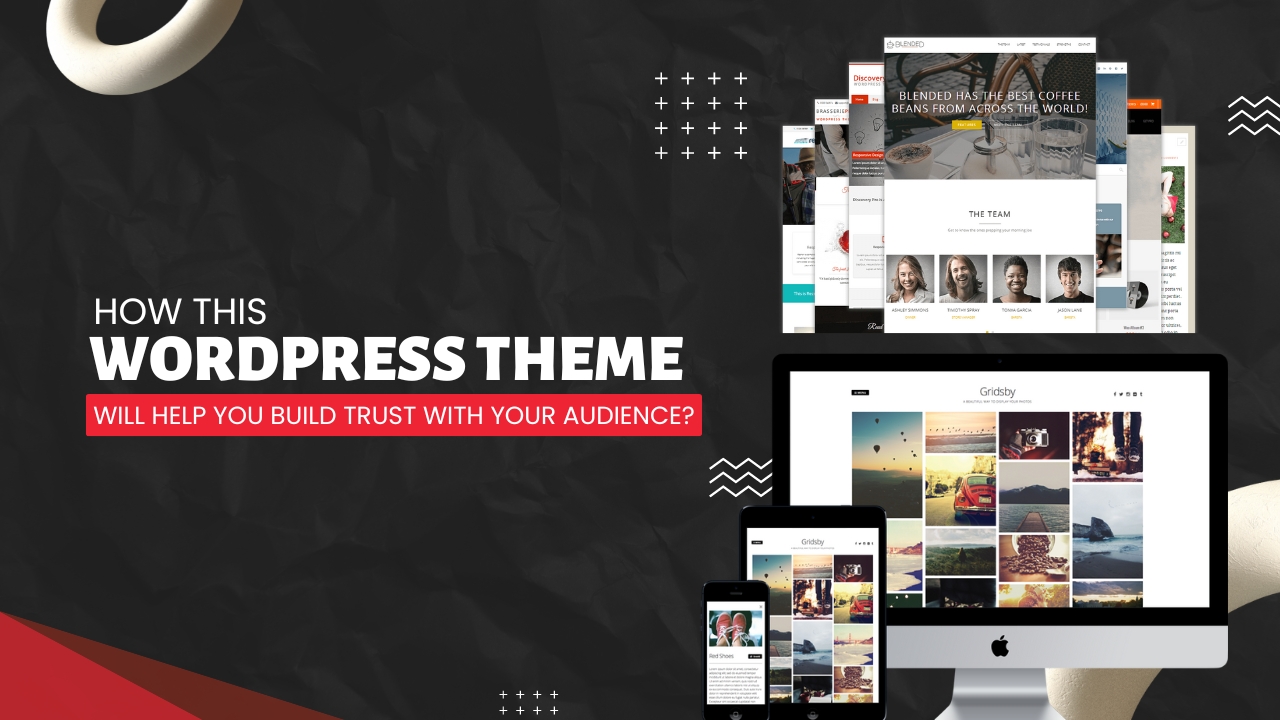 How This WordPress Theme Will Help You Build Trust with Your Audience?